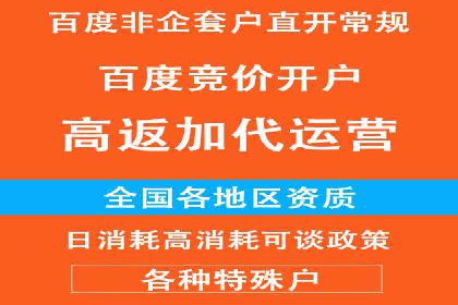 成功运用百度竞价代理，实现品牌快速崛起